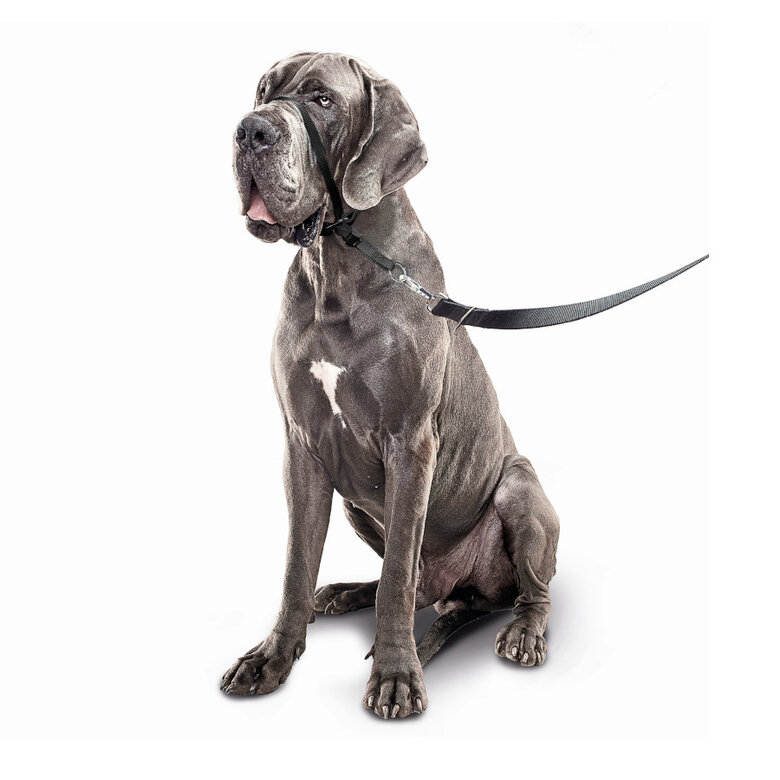 Beaphar Gentle Leader Coleira de treino negra para cães, , large image number null