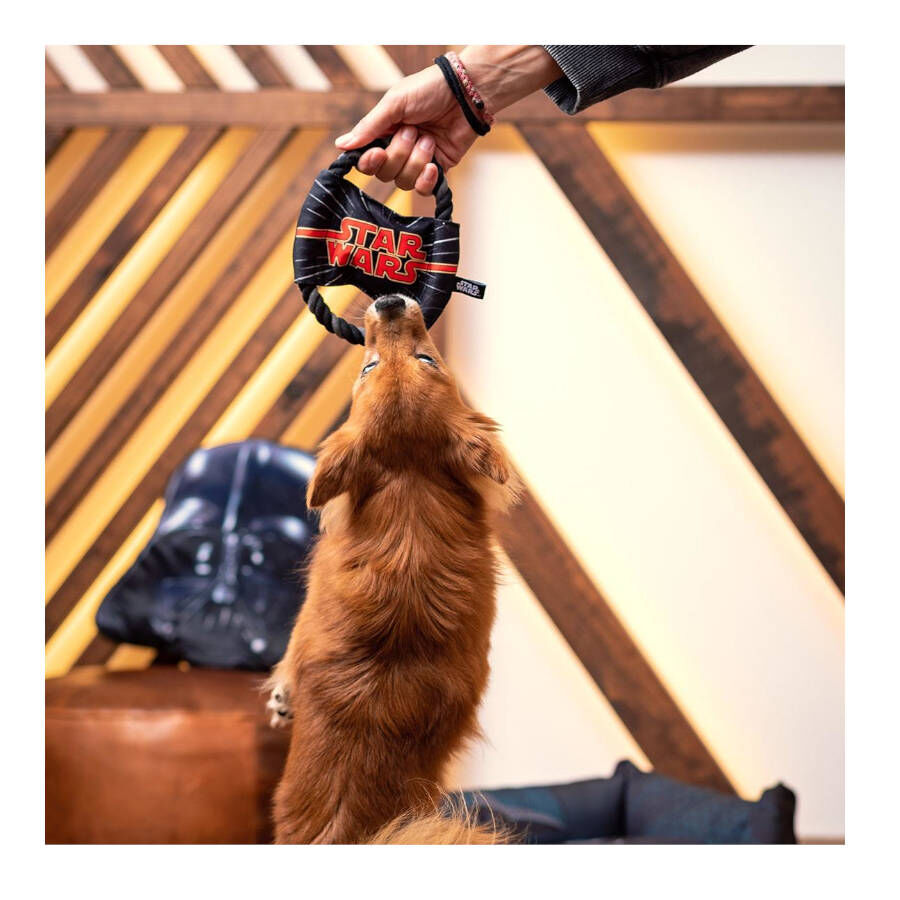 Disney Star Wars Disco de corda para c&atilde;es, , large Imagem n&uacute;mero 5