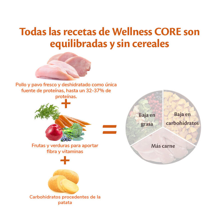 1.5kg Wellness Core Adult Small Healthy Peru ração para cães ,  Imagem número 4 1.5kg Wellness Core Adult Small Healthy Peru ração para cães , , large Imagem número 4