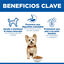 1.5 kg Hills Adult Small y Mini Science Plan Cordeiro ração para cães, , large Indicador imagem número 5