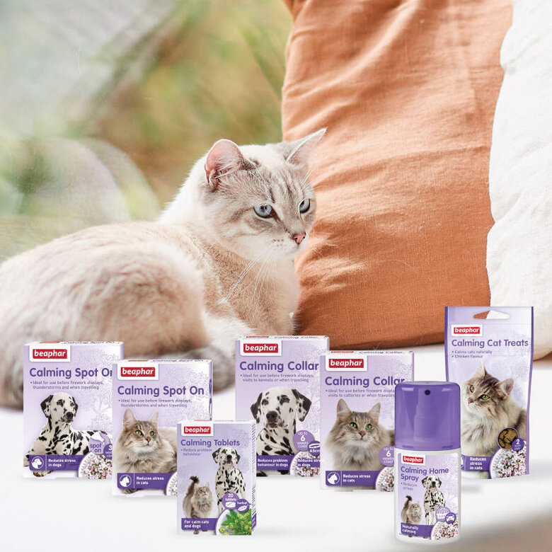 35 g Beaphar Bocaditos Anti-Stress para gatos,  Imagem número 5 35 g Beaphar Bocaditos Anti-Stress para gatos, , large Imagem número 5