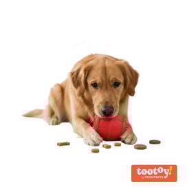 Tootoy! Chew Brinquedo interativo dispensador de snacks para c&atilde;es