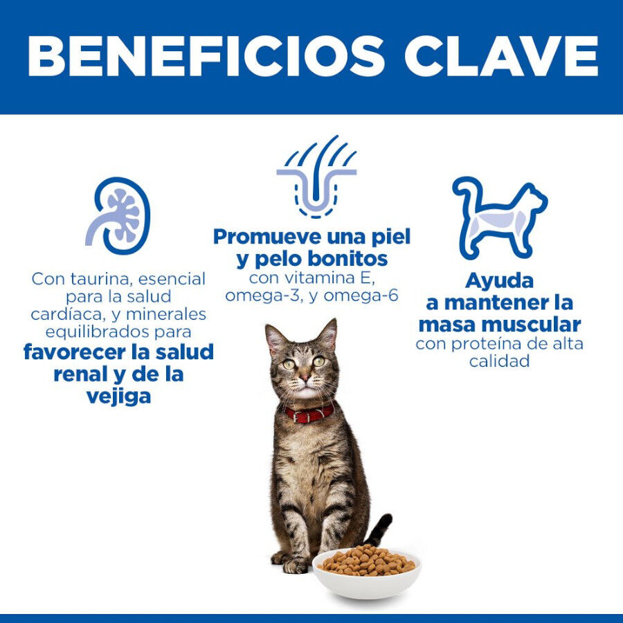 10 kg Hill's Adult Science Plan Cordeiro ra&ccedil;&atilde;o para gatos, , large Imagem n&uacute;mero 5