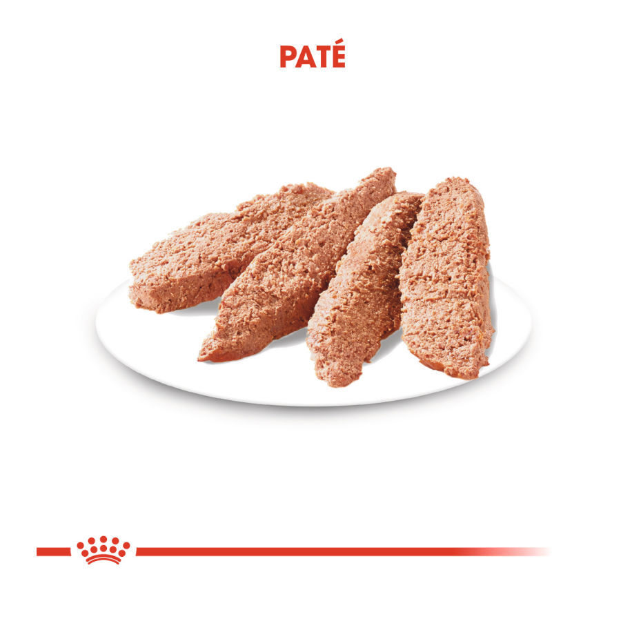 85 g Royal Canin Digestive Care Pat&ecirc; em saquetas para c&atilde;es, , large Imagem n&uacute;mero 3