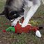 Wonder Christmas Raposa de Circo peluche de Natal para cães, , large Indicador imagem número 4