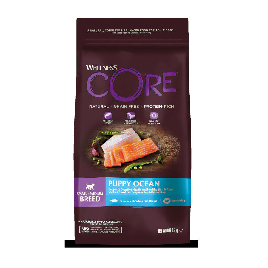 Wellness Core Small Medium Puppy Ra&ccedil;&atilde;o Grain Free de salm&atilde;o para cachorros, , large Imagem n&uacute;mero 1