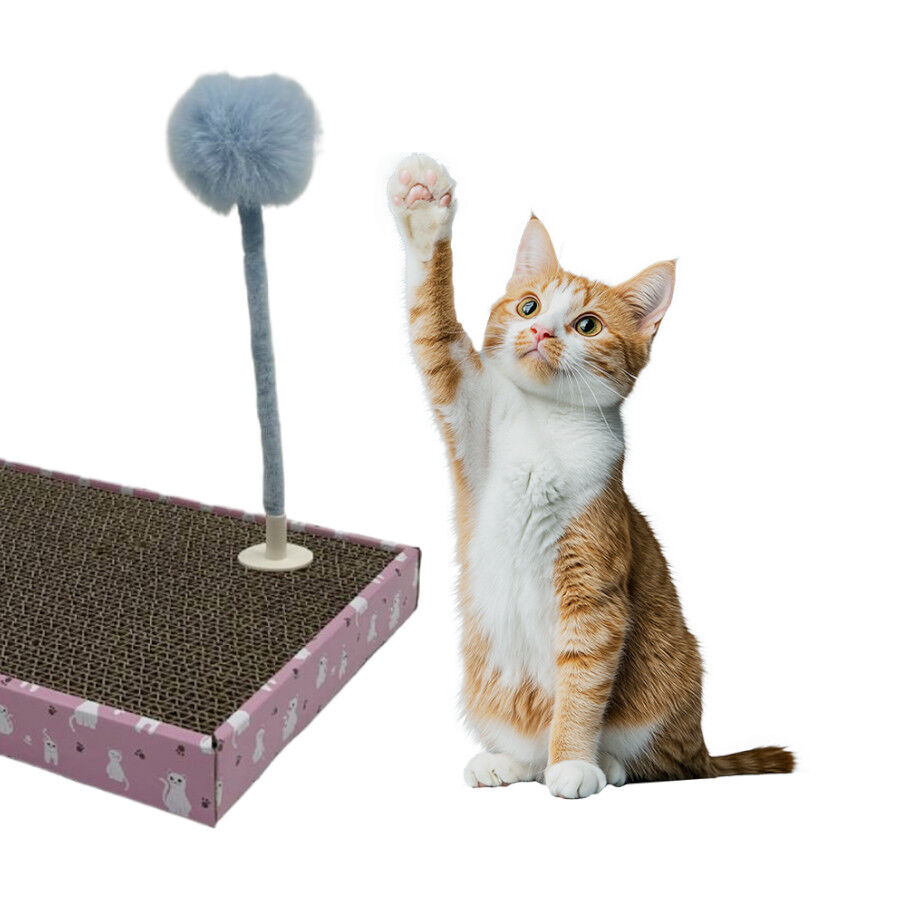 Leeby Babette Brinquedo pompom para arranhador de gatos, , large Imagem n&uacute;mero 1