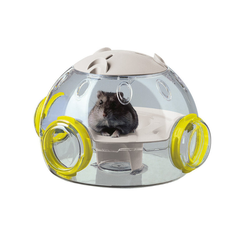 accesorios_ferplast_hamster_accesorios_FER84826099_M Imagem número 1 Ferplast accesorio para jaula de hámster desván Imagem número 1