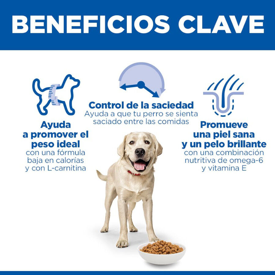 14 kg Hill's Science Plan Light Adult Frango ra&ccedil;&atilde;o para c&atilde;es, , large Imagem n&uacute;mero 5