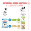 3 kg Royal Canin X-Small Puppy ração para cães, , large Indicador imagem número 7