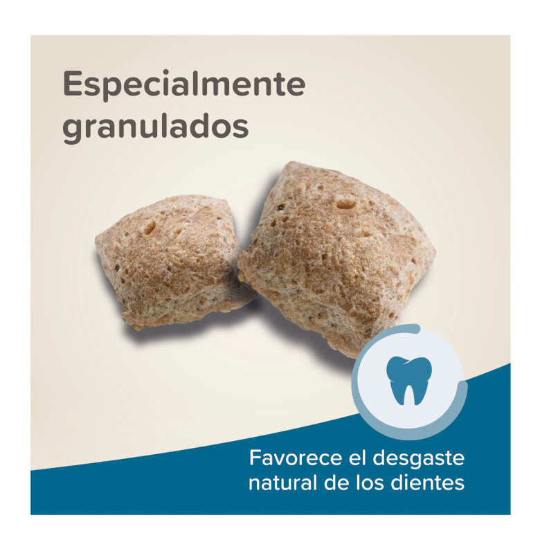 Beaphar Care+ comida de rato super premium,  Imagem número 6 Beaphar Care+ comida de rato super premium, , large Imagem número 6