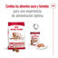 15 kg Royal Canin Medium 10+ Ageing ra&ccedil;&atilde;o para c&atilde;es, , large Indicador imagem n&uacute;mero 9