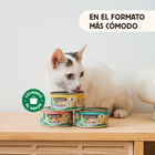 Wild Balance BARF de Frango e Legumes em lata para gatos, , large image number null