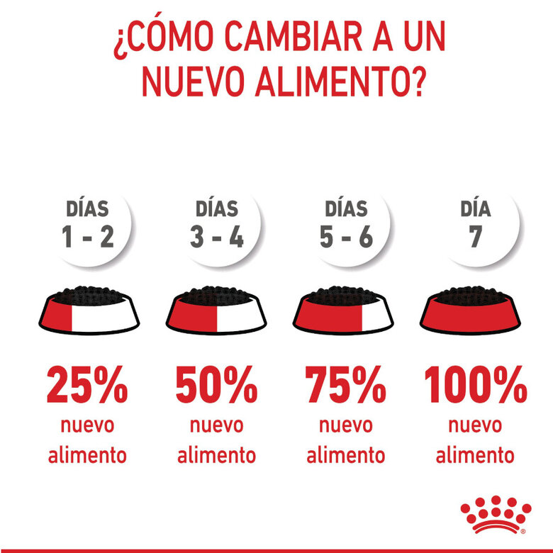 85 g Royal Canin Kitten patê em saquetas para gatos,  Imagem número 10 85 g Royal Canin Kitten patê em saquetas para gatos, , large Imagem número 10
