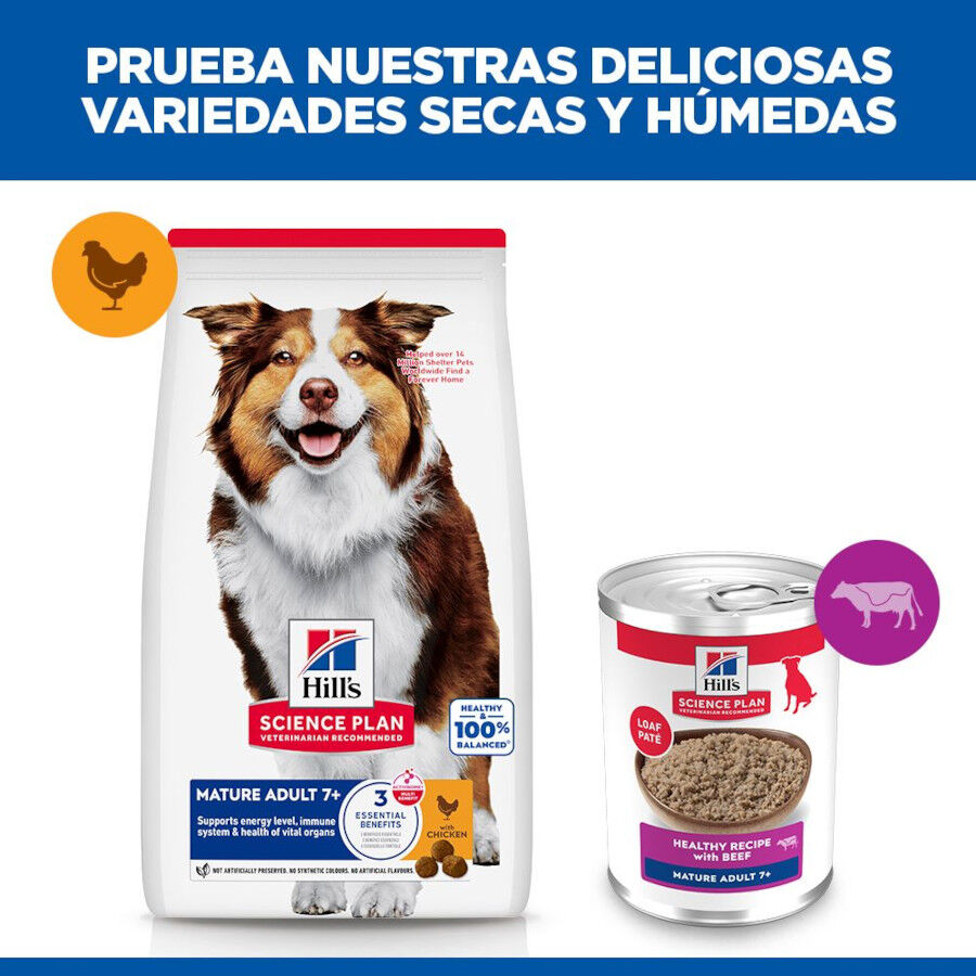 370 g Hill's Science Plan Mature Adult 7+ Carne de vaca em pat&eacute; em lata para c&atilde;es, , large Imagem n&uacute;mero 6