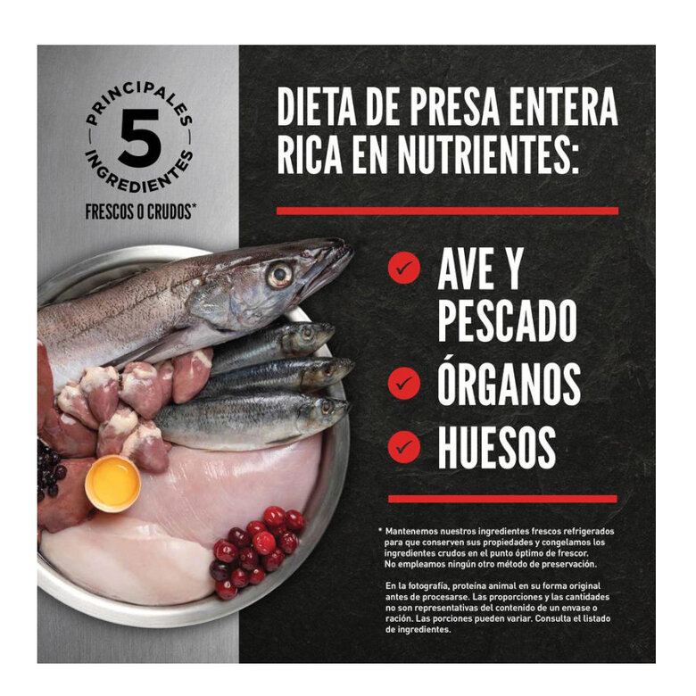 4.5 kg Orijen Guardián 8 Ração para gatos,  Imagem número 3 4.5 kg Orijen Guardián 8 Ração para gatos, , large Imagem número 3