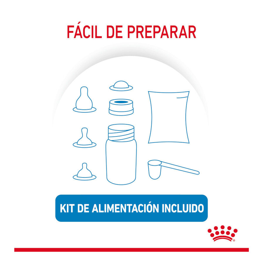 400 g Royal Canin Leite para o primeiro ano de cachorros, , large Imagem n&uacute;mero 7