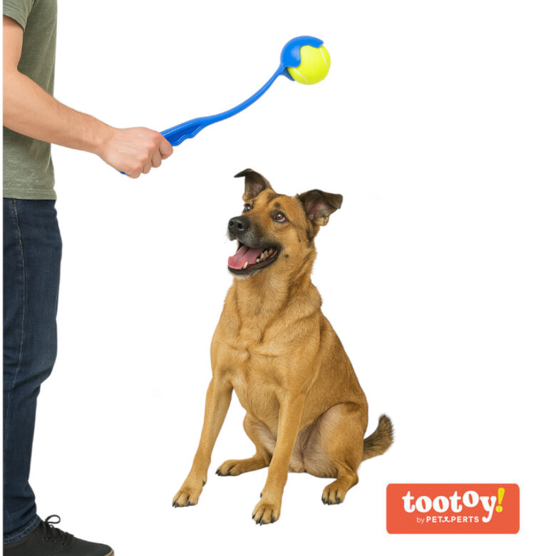 Tootoy! Tennis Ball Launcher Lança Bolas Azul para cães,  Imagem número 2 Tootoy! Tennis Ball Launcher Lança Bolas Azul para cães, , large Imagem número 2