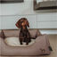 Hunter Boston Cozy Sofá Castanho para cães, , large Indicador imagem número 3