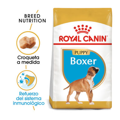 Royal Canin Puppy Boxer ração para cães