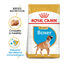 Royal Canin Puppy Boxer ração para cães, , large Indicador imagem número 2