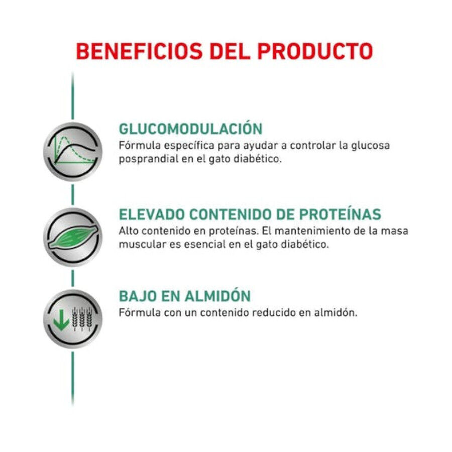 12 saquetas x 85 g Royal Canin Veterinary Diet Diabetic saqueta para gatos, , large Imagem n&uacute;mero 2