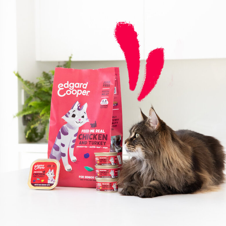 85 g Edgard y Cooper Frango e Peru em Patê terrina para gatos seniores,  Imagem número 2 85 g Edgard y Cooper Frango e Peru em Patê terrina para gatos seniores, , large Imagem número 2