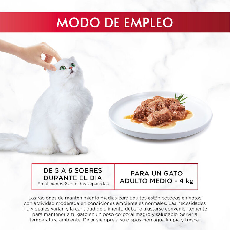 6 saquetas x 50 g Purina Gourmet Mon Petit Seleção de Peixes em molho,  Imagem número 7 6 saquetas x 50 g Purina Gourmet Mon Petit Seleção de Peixes em molho, , large Imagem número 7