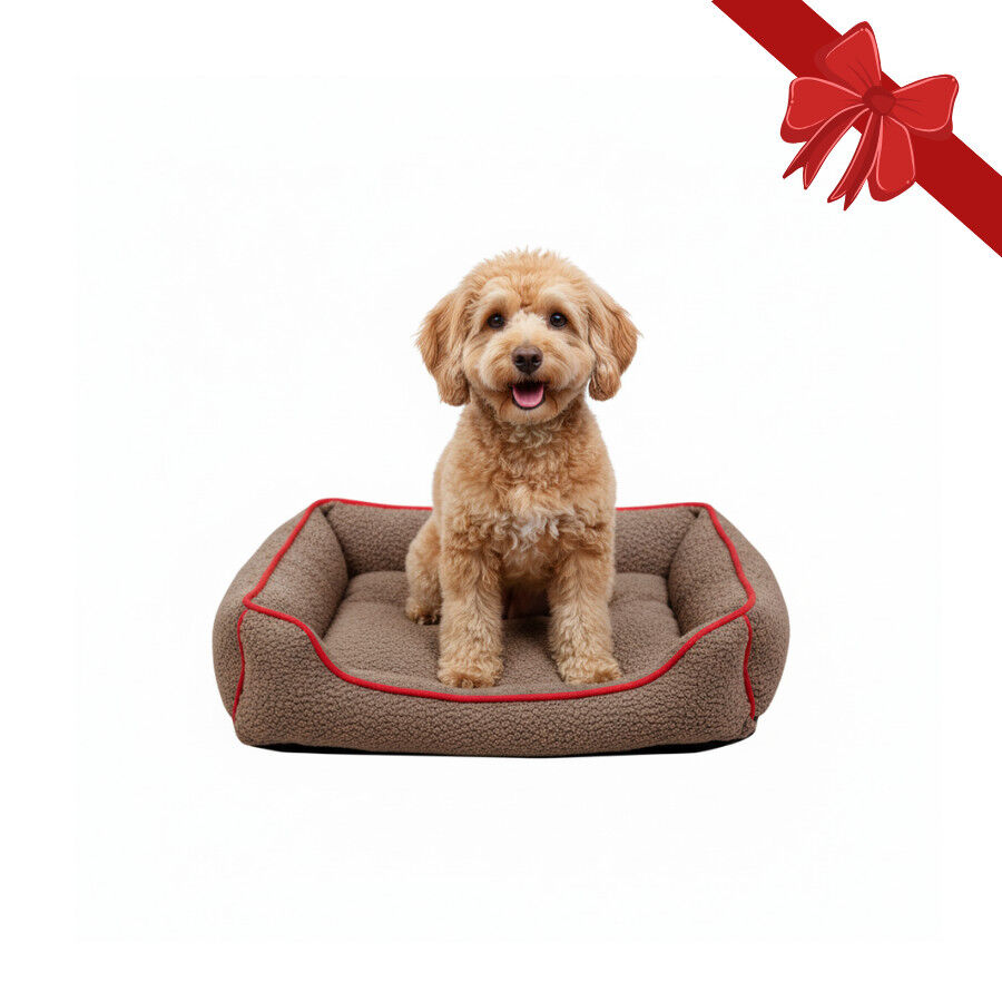 Wonder Christmas Cama Castanha e Vermelha de Natal para C&atilde;es, , large Imagem n&uacute;mero 1