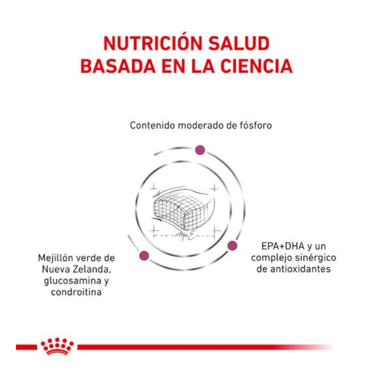 6 kg Royal Canin Early Renal ração para gatos,  Imagem número 3 6 kg Royal Canin Early Renal ração para gatos, , large Imagem número 3