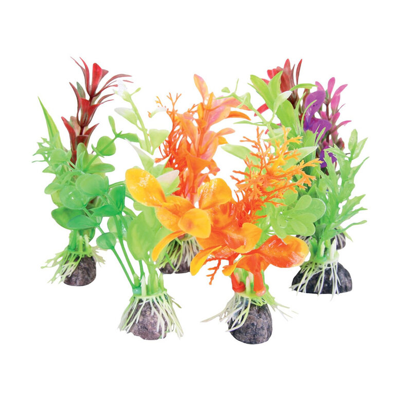 Zolux mini planta decoração aquário, , large image number null