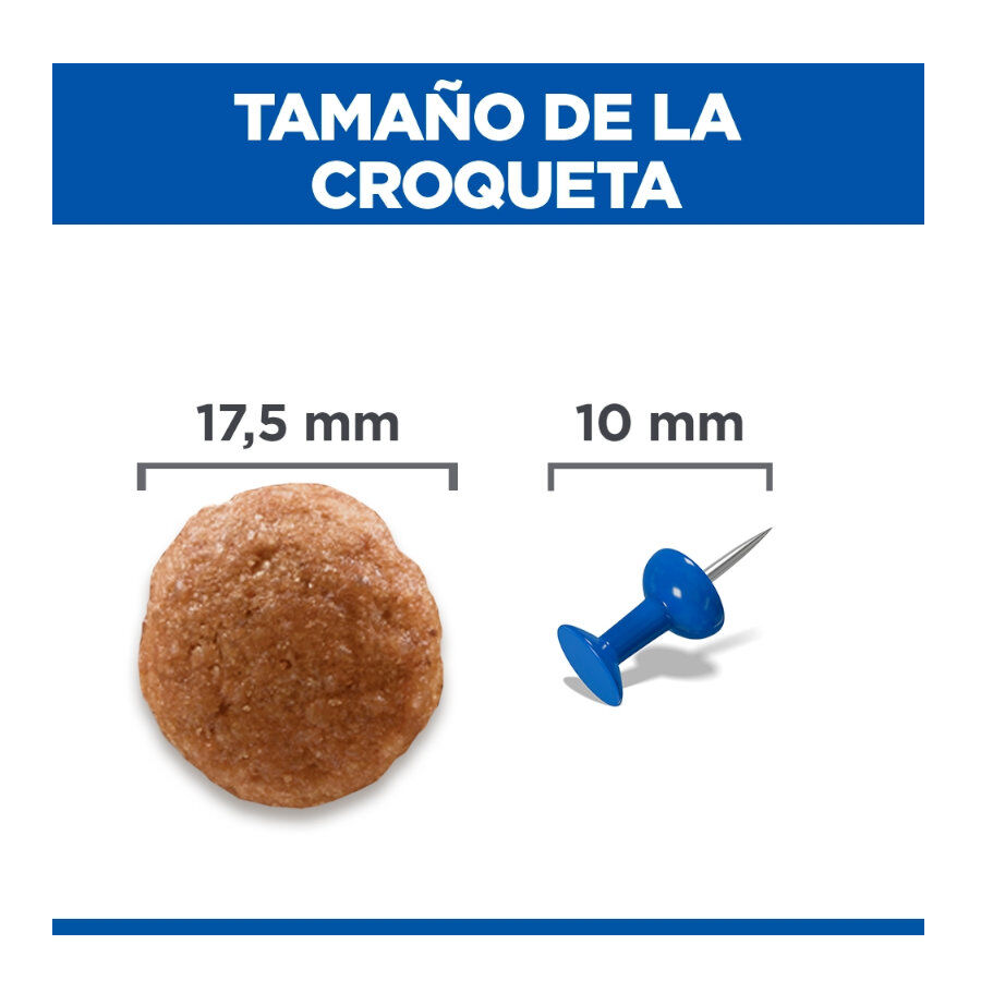 14 kg Hill's Large Adult Science Plan Perfect Digestion Frango ra&ccedil;&atilde;o para c&atilde;es, , large Imagem n&uacute;mero 4