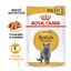 85 g Royal Canin comida húmida British Shorthair Adult, , large Indicador imagem número 2