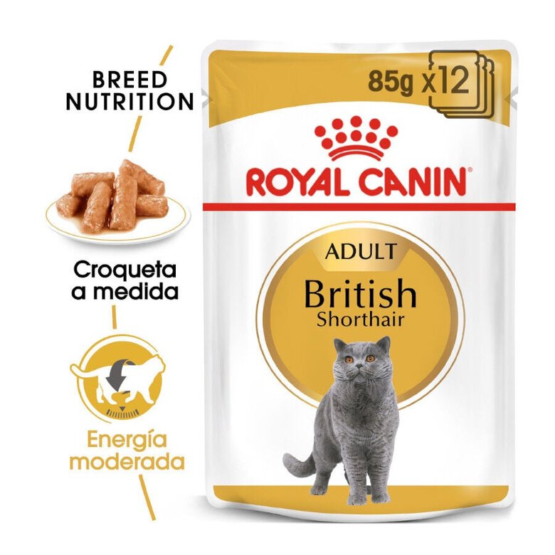 85 g Royal Canin comida húmida British Shorthair Adult,  Imagem número 2 85 g Royal Canin comida húmida British Shorthair Adult, , large Imagem número 2