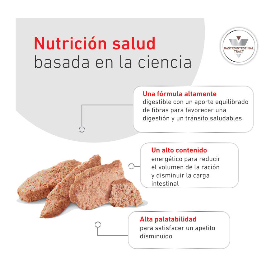 400 g Royal Canin Veterinary Diet Gastrointestinal lata para c&atilde;es, , large Imagem n&uacute;mero 6