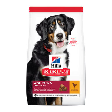 Hill's Adult Large Breed frango