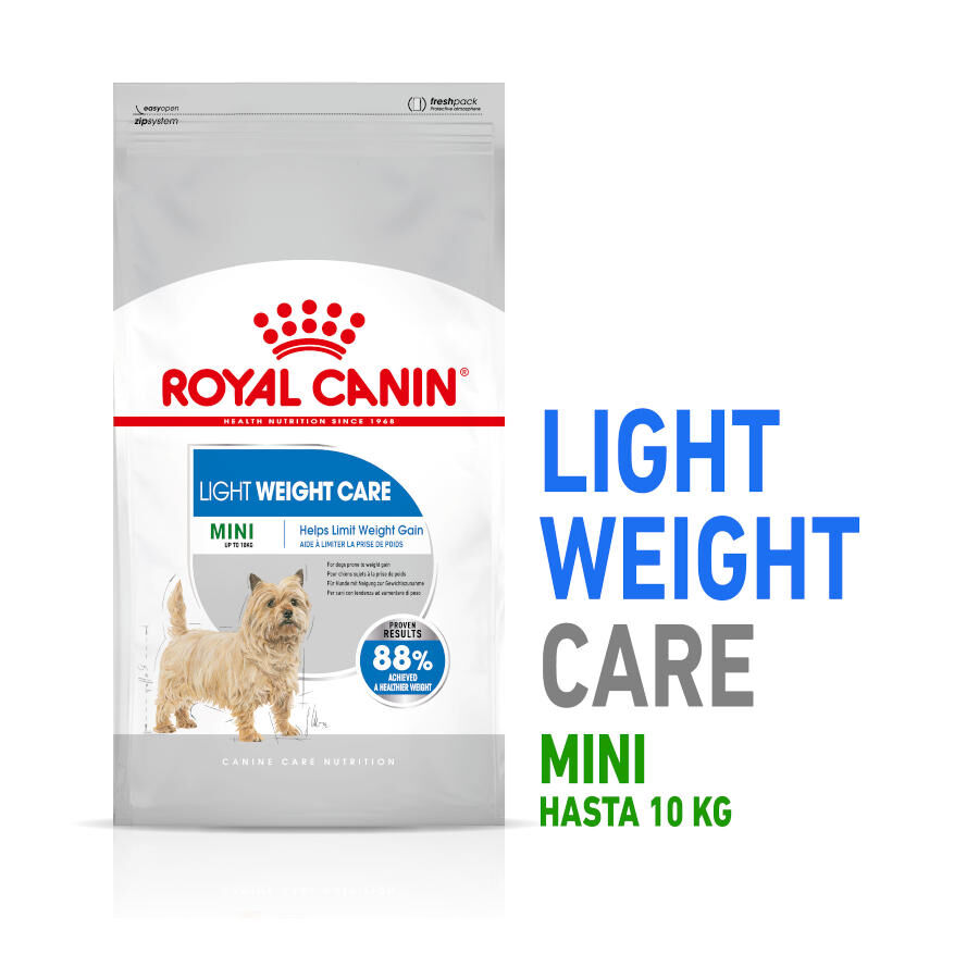 8 kg Royal Canin Mini Light Weight Care ra&ccedil;&atilde;o para c&atilde;es, , large Imagem n&uacute;mero 2