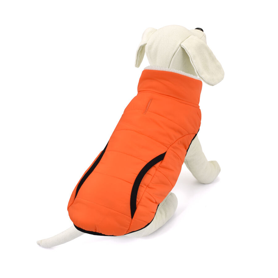 Outech Pawprint Casaco de cachorro, , large Imagem n&uacute;mero 1