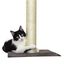 Rascador Catshion Pole Gris varios tamaños Indicador imagem número 2