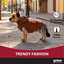 Gotoo Casaco Teddy Castanho para c&atilde;es, , large Indicador imagem n&uacute;mero 6
