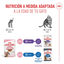 48 saquetas x 85 g Royal Canin Kitten Sterilised alimento húmido em molho saquetas para gatos Pack poupança!, , large Indicador imagem número 6