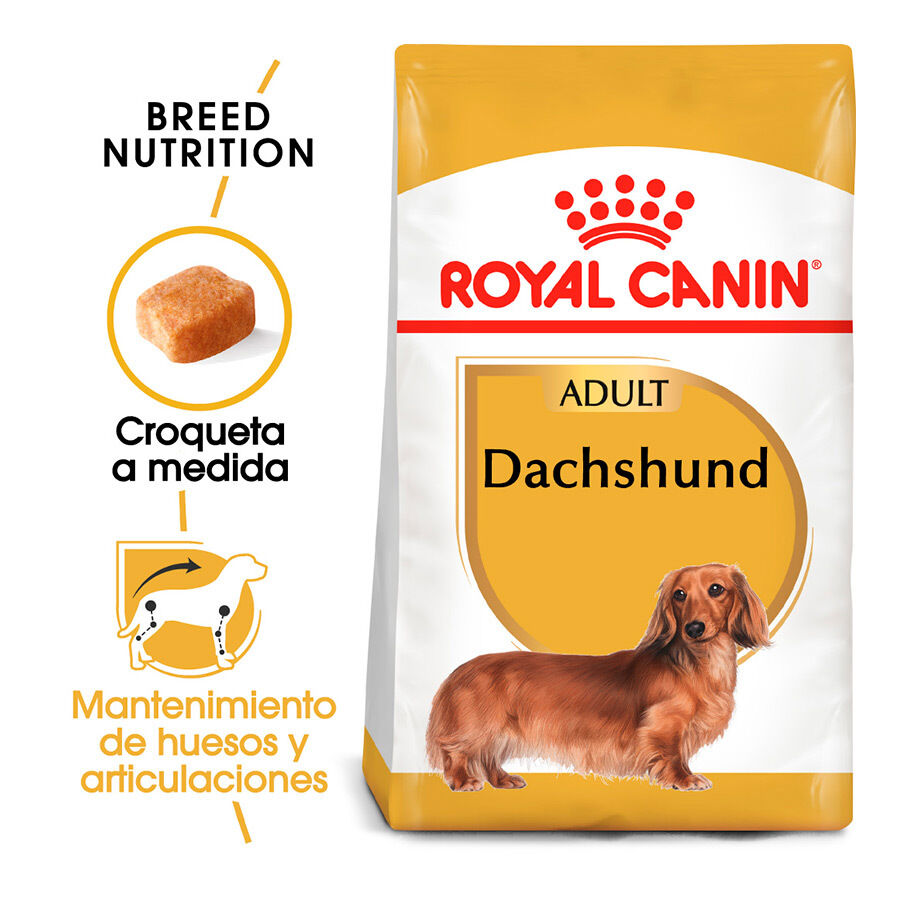 7.5 kg Royal Canin Adult Dachshund ra&ccedil;&atilde;o para c&atilde;es, , large Imagem n&uacute;mero 2