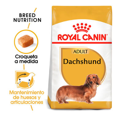 Royal Canin Adult Dachshund ração para cães