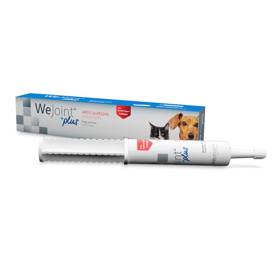 Wepharm Wejoint Plus Pasta Suplemento para c&atilde;es e gatos, , large Imagem n&uacute;mero 1