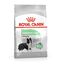 2 x 12 kg Royal Canin Medium Digestive Care ração para cães Pack poupança!, , large Indicador imagem número 1