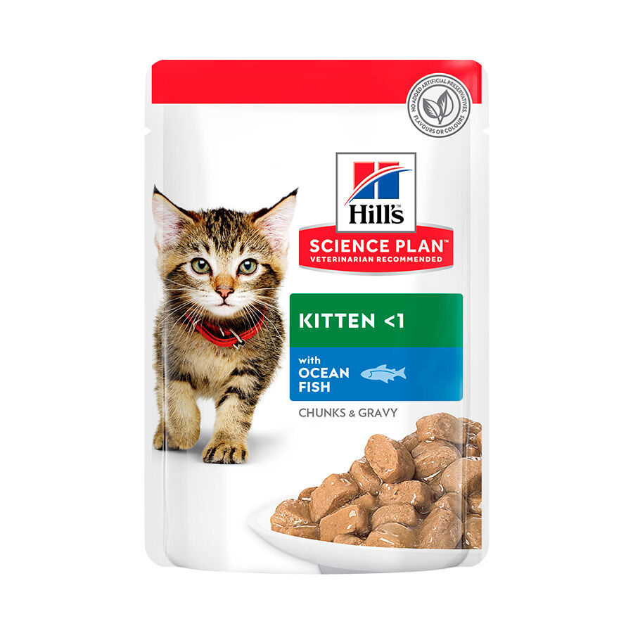 85 g Hill's Kitten Science Plan Peixe Azul saqueta em molho, , large Imagem n&uacute;mero 1