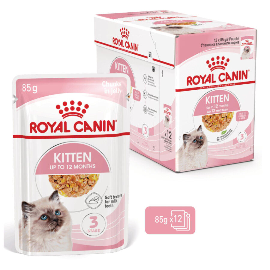 12 saquetas x 85 g Royal Canin Kitten alimento h&uacute;mido em gelatina saquetas para gatinhos Pack poupan&ccedil;a!, , large Imagem n&uacute;mero 1