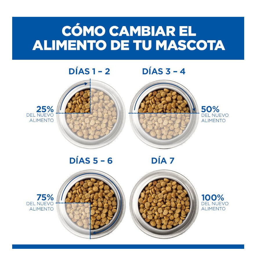 1.5 kg Hill's Science Plan Ra&ccedil;&atilde;o de salm&atilde;o para gatinhos, , large Imagem n&uacute;mero 11