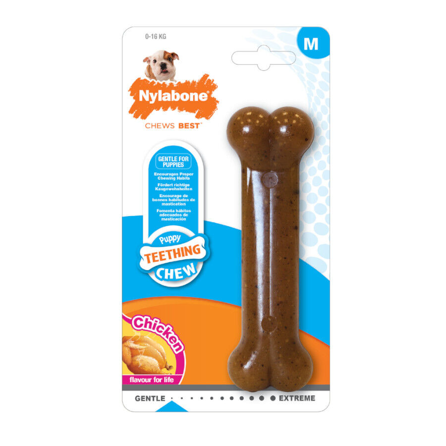 Nylabone Chew Frango Osso Mordedor para cachorros, , large Imagem n&uacute;mero 1