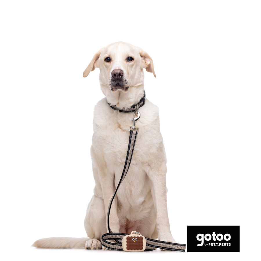 Gotoo Coleira mesh cinza para c&atilde;es, , large Imagem n&uacute;mero 6